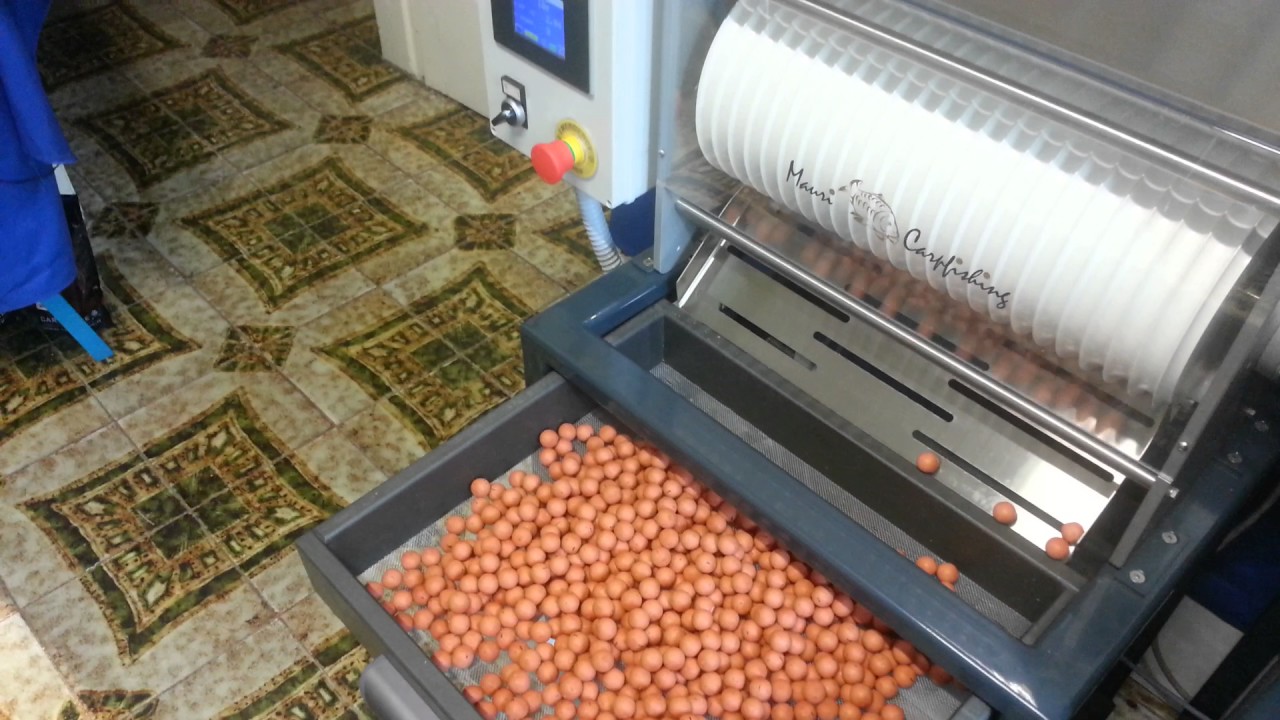 Boilie machine 