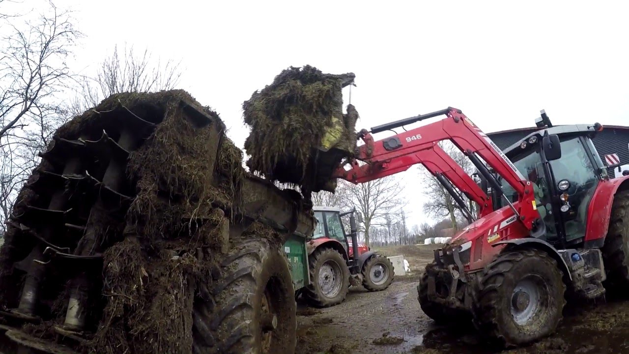 Massey Ferguson 5613 / On vide les stabulations! [GoPro] 2016