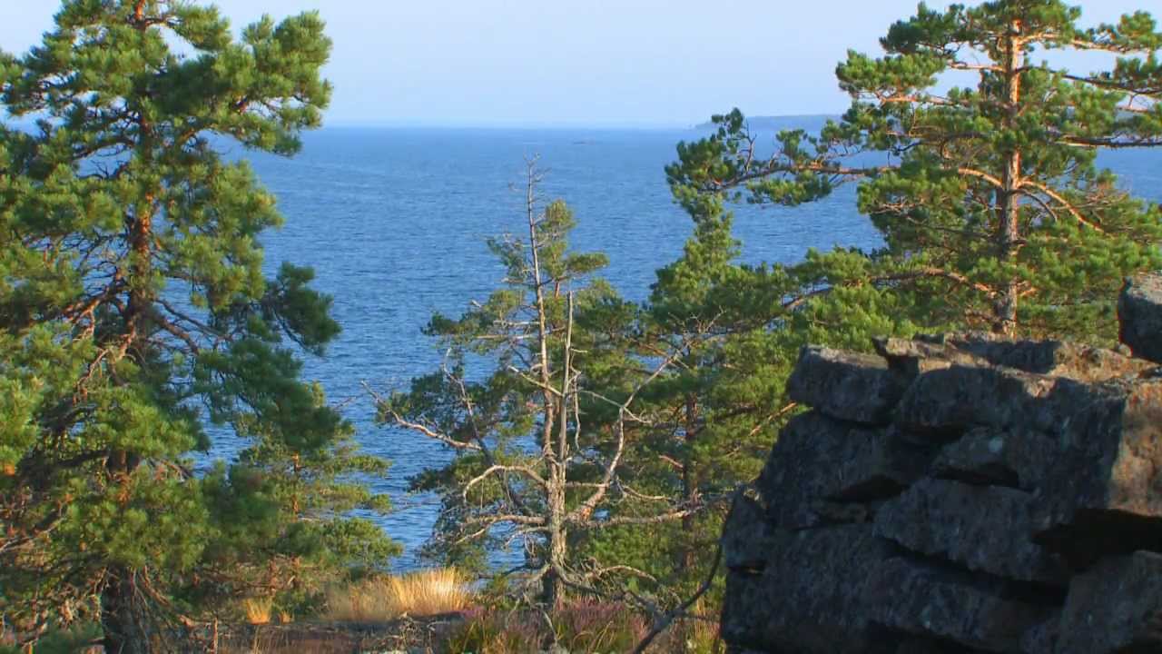 Explore the Gulf of Finland National Park and the wonders of the outer archipelago!