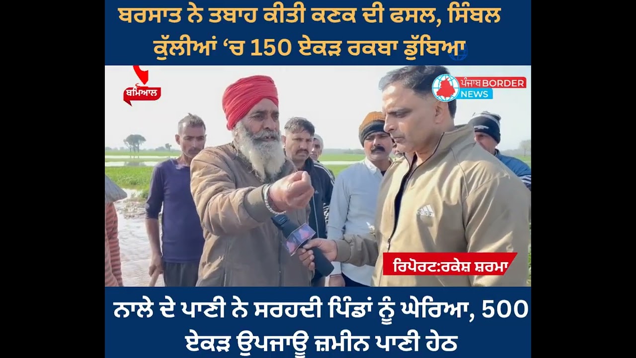 ਦੋ ਦਿਨਾਂ ਦੀ ਬਰਸਾਤ ਨੇ ਤਬਾਹ ਕੀਤੀ ਕਣਕ ਦੀ ਫਸਲ, ਸਿੰਬਲ ਕੁੱਲੀਆਂ ‘ਚ 150 ਏਕੜ ਰਕਬਾ ਡੁੱਬਿਆ।