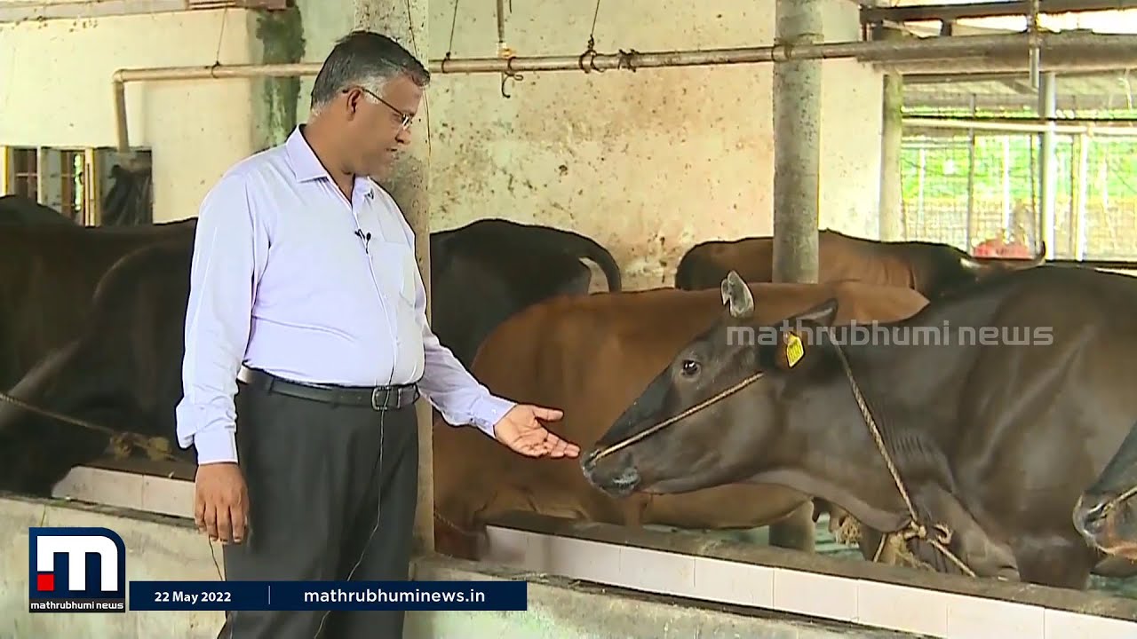 ഗില്‍ഗാല്‍ ആശ്വാസകേന്ദ്രത്തിലെ കൃഷിവിശേഷങ്ങള്‍ | Krishibhoomi | Agriculture | Mathrubhumi News