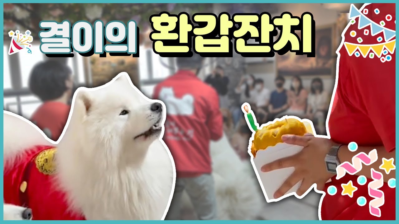 난생 처음 강아지 환갑잔치