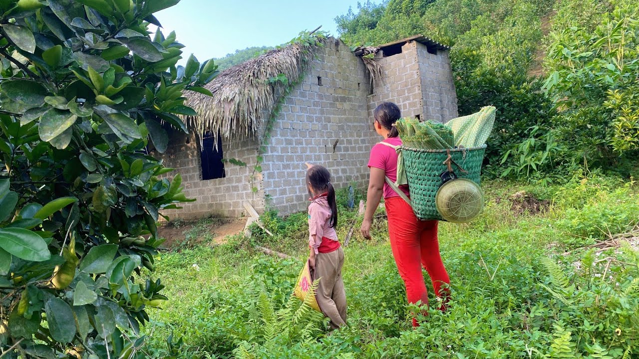 FULL VIDEO: 180 Days of Wandering & A Single Mother's Journey Building a Bamboo House Alone