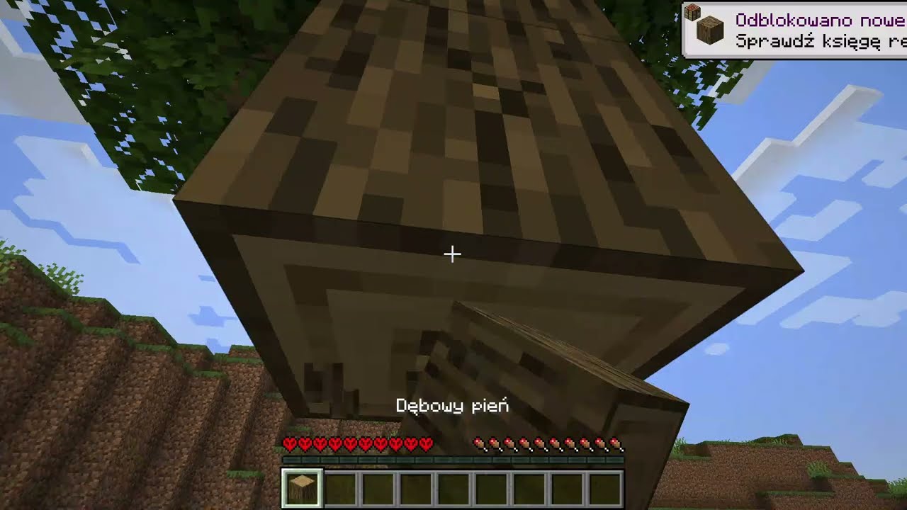 robie mincraft hardcore