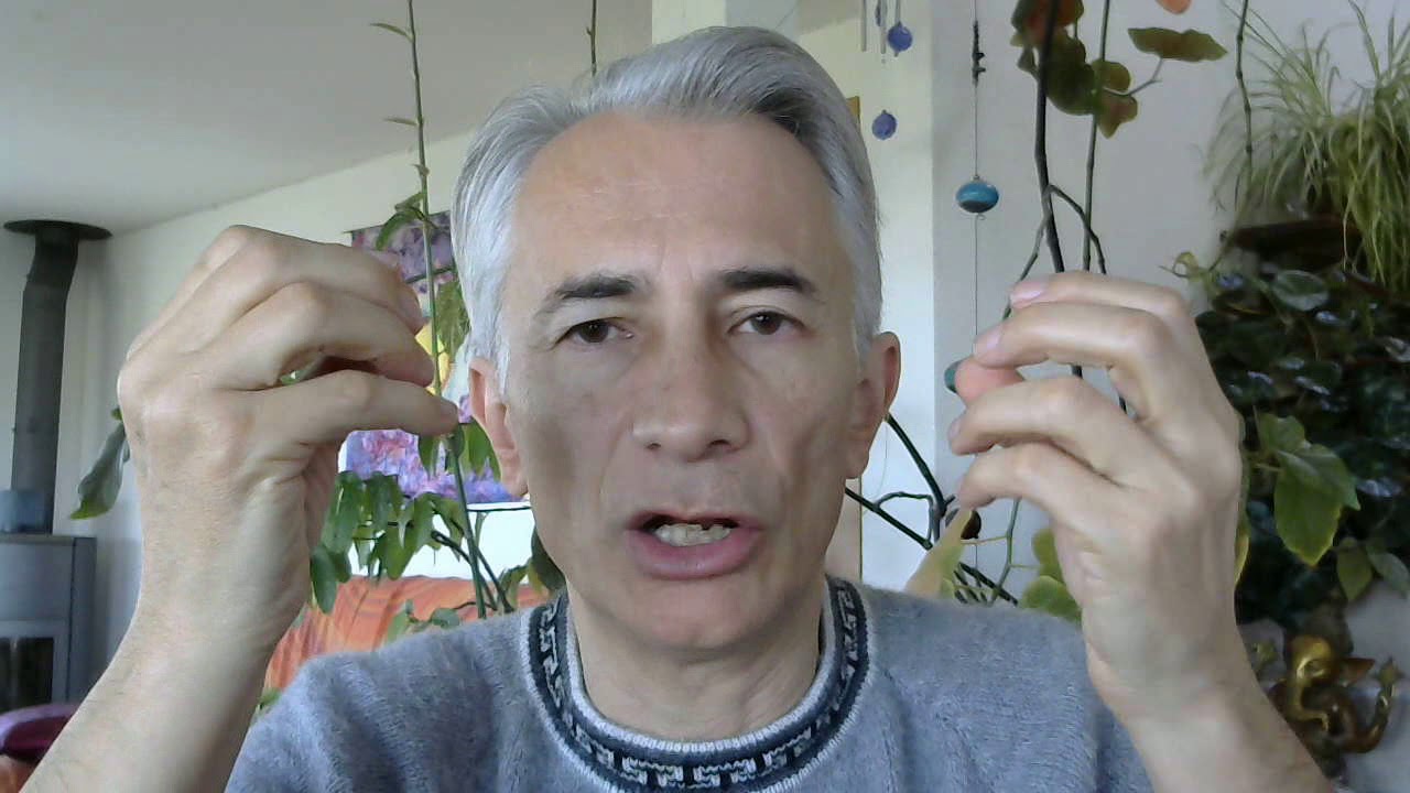 Le Pouvoir de Votre Conscience (CRÉEZ LA VIE DE VOS RÊVES)