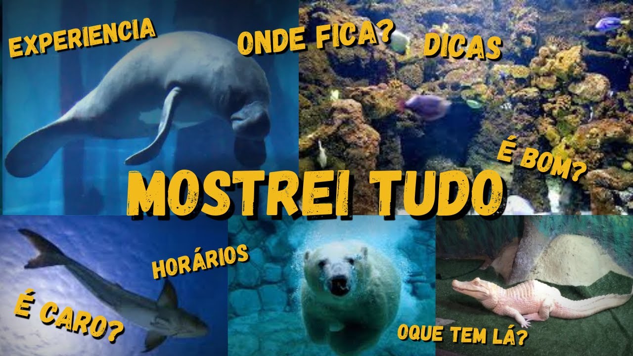 VISITEI O AQUÁRIO DE SP E NÃO ACREDITEI NO QUE VI! | Será que vale a pena mesmo? Valores? Compensa?