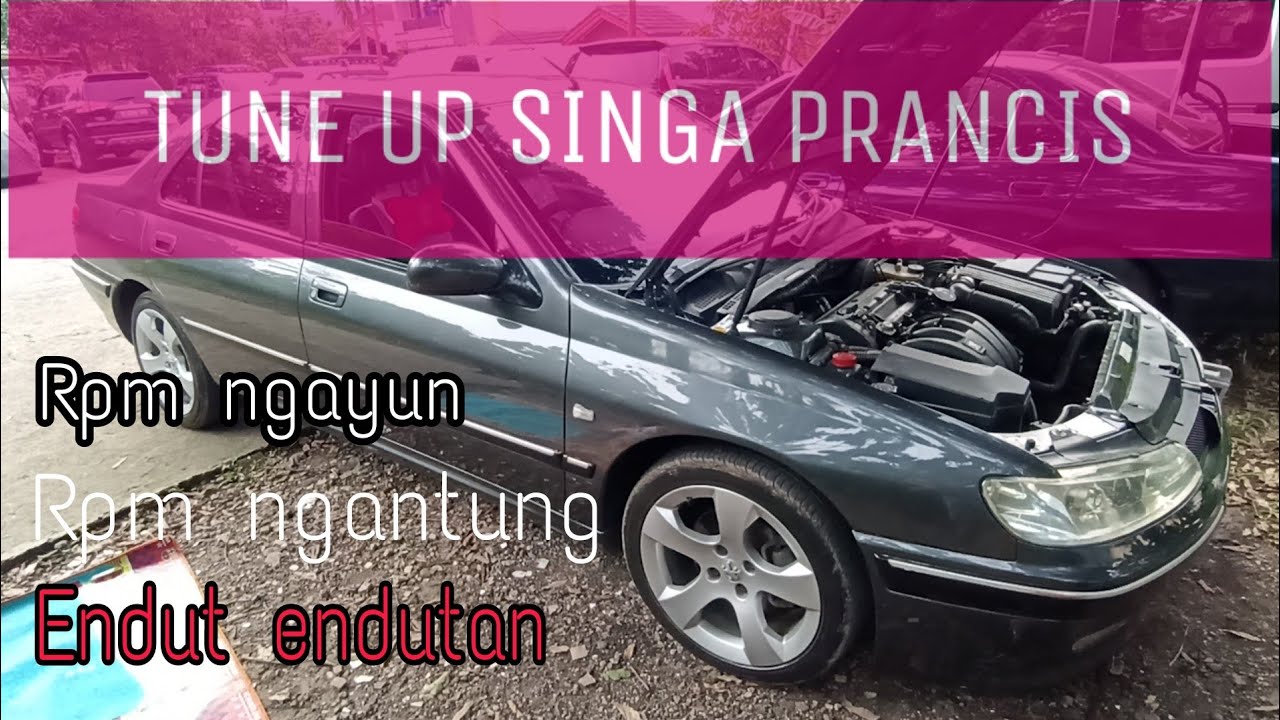 🔴Tune up Peugeot 406 D9