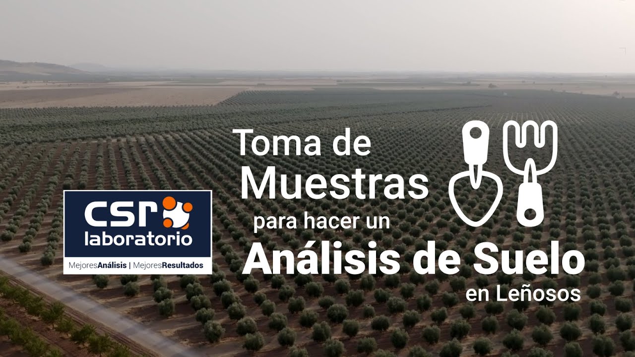 🌳 Cómo tomar muestras de suelo para el análisis de fertilidad