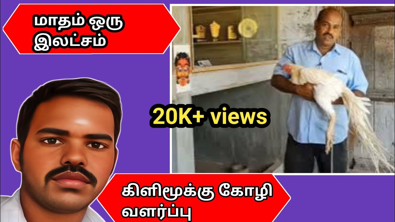 கிளி மூக்கு கோழியில் மாதம் ஒரு இலட்சம்  சம்பாதிக்கலாம் || Uzhavar 360
