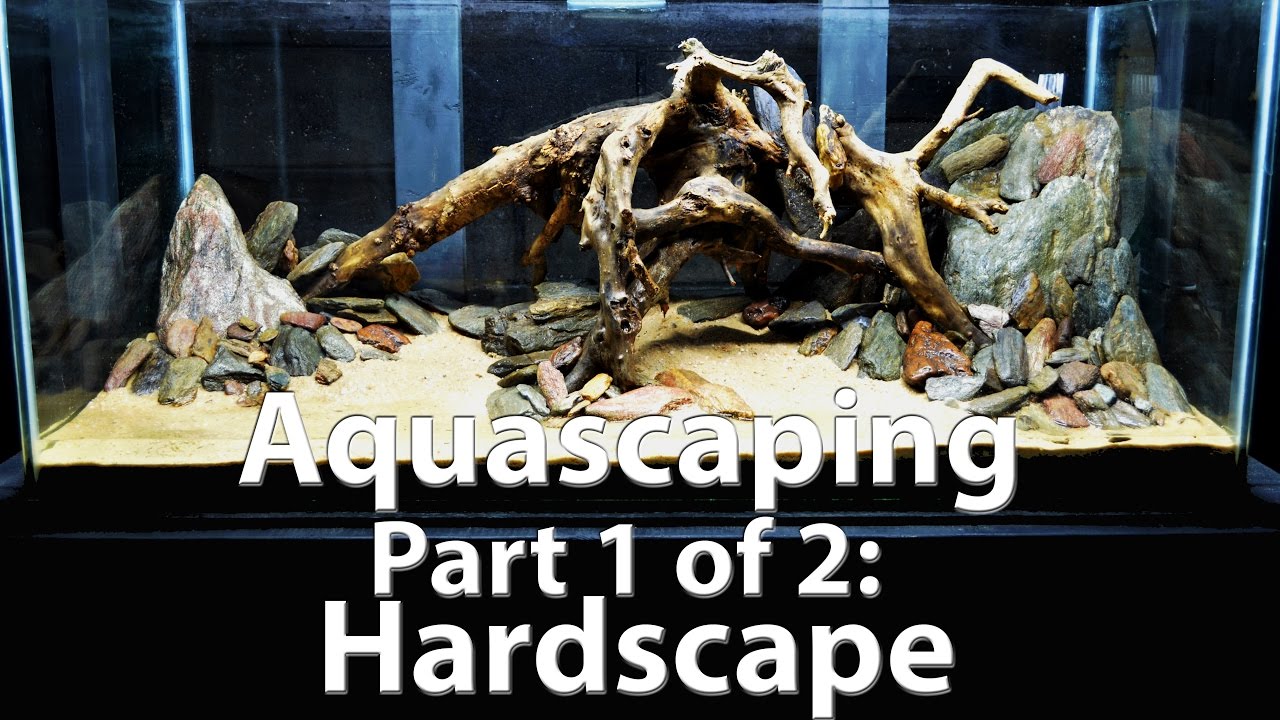 Low Tech Aquascaping Part 1 of 2: Substrate and Hardscape