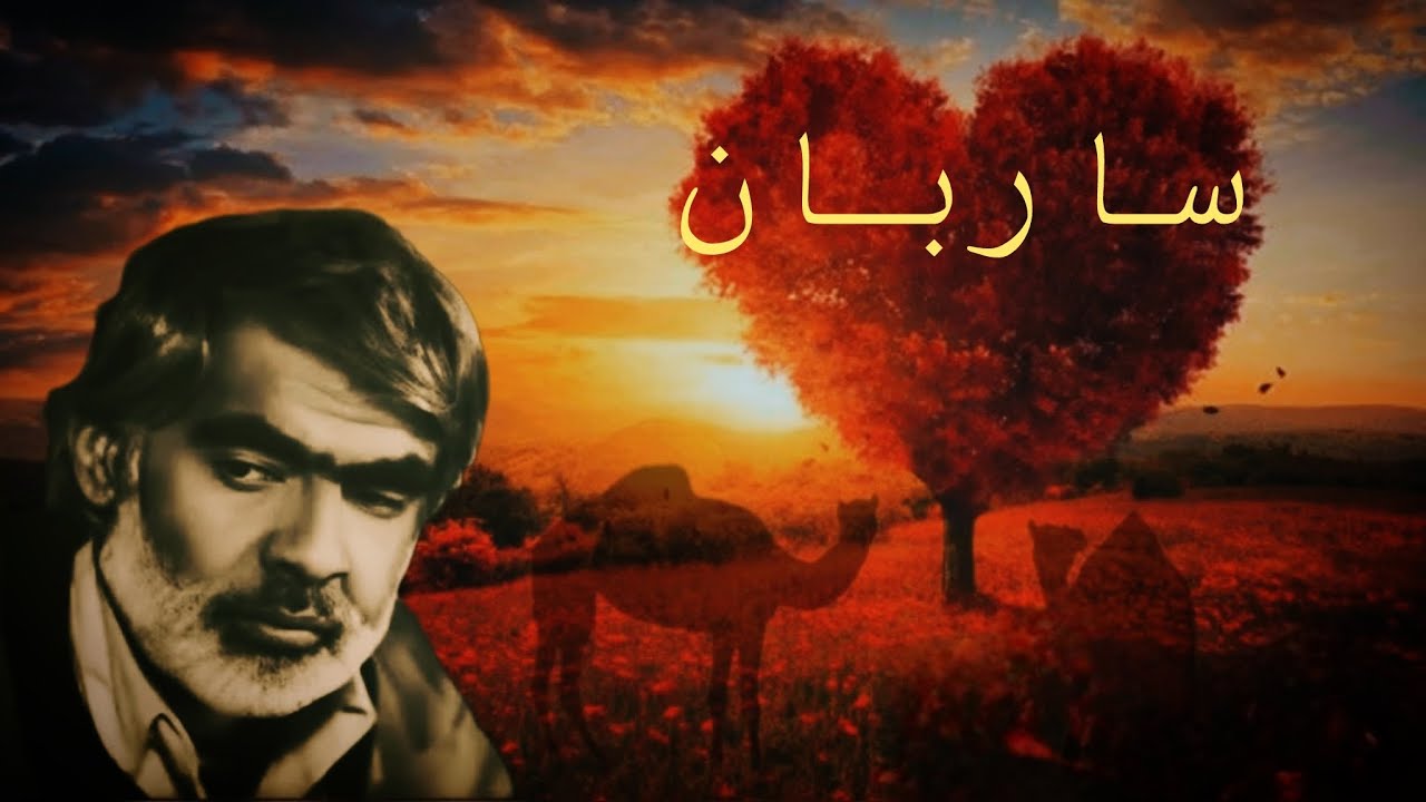  پرندگان در حال نوازش قلبت موسیقی طبیعت آرامش بی‌پایان