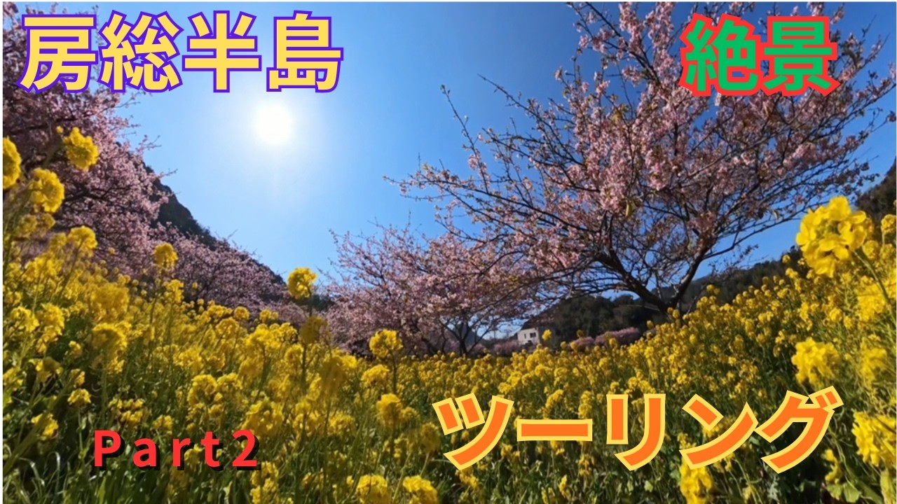 【PCX125】房総半島ツーリング【Part2】