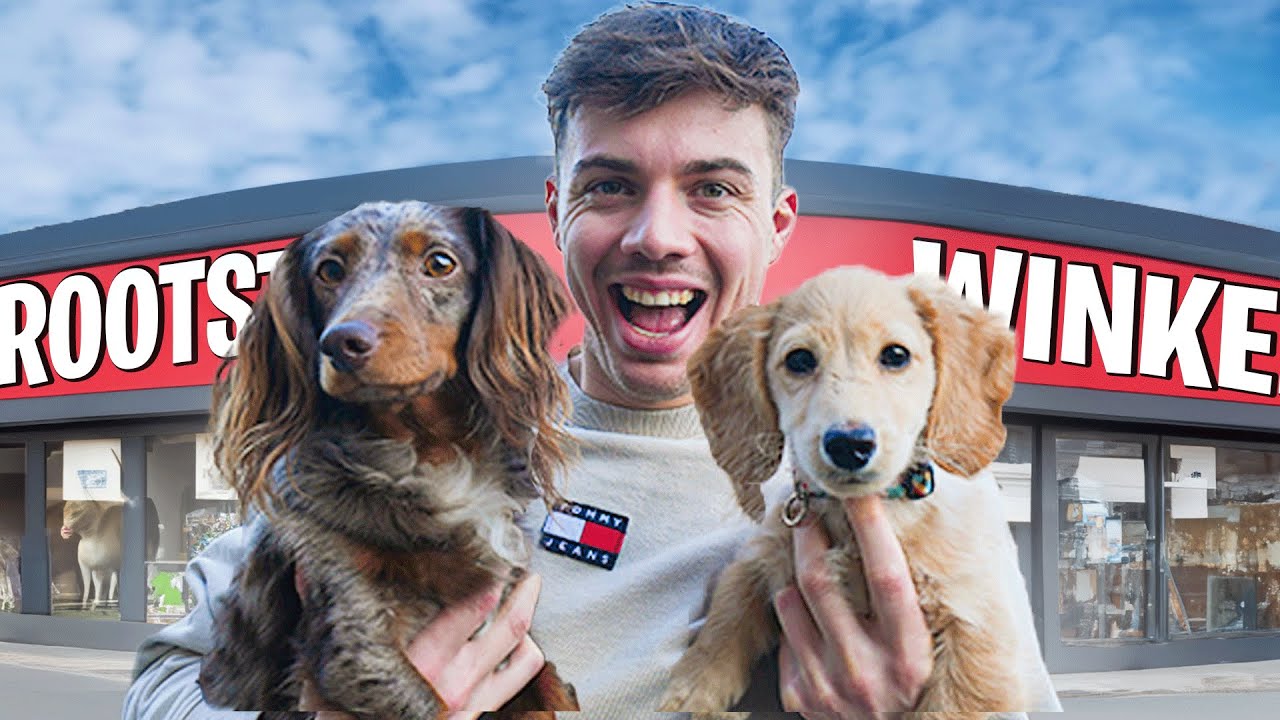 Ik Ging Naar De Grootste Dierenwinkel Van Nederland