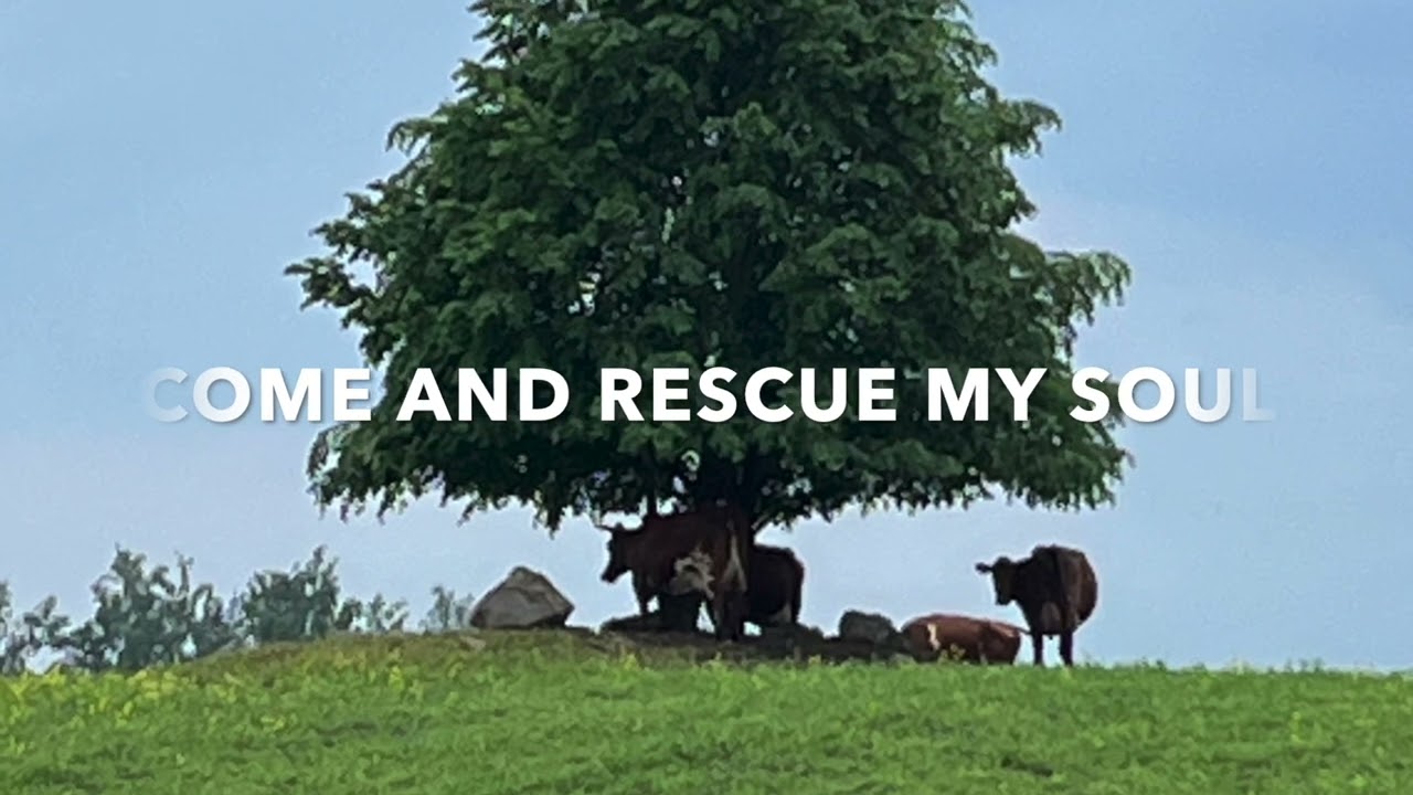 And My Tongue Finished Video