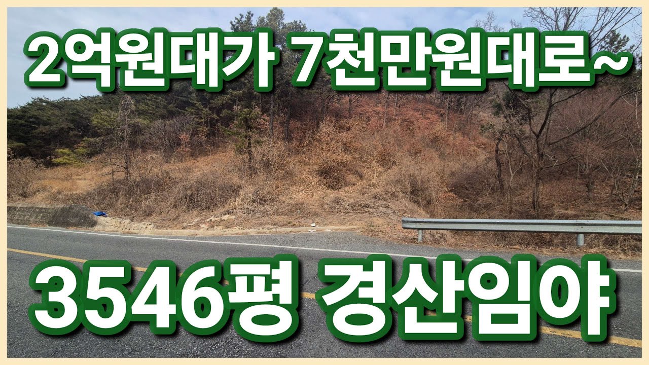경산시 자인면 신관리 3546평 2억원대에서 7천만원대 경산묘터로 추천드리는 법원경매 진행중인 경산임야 경산땅 보러오세요