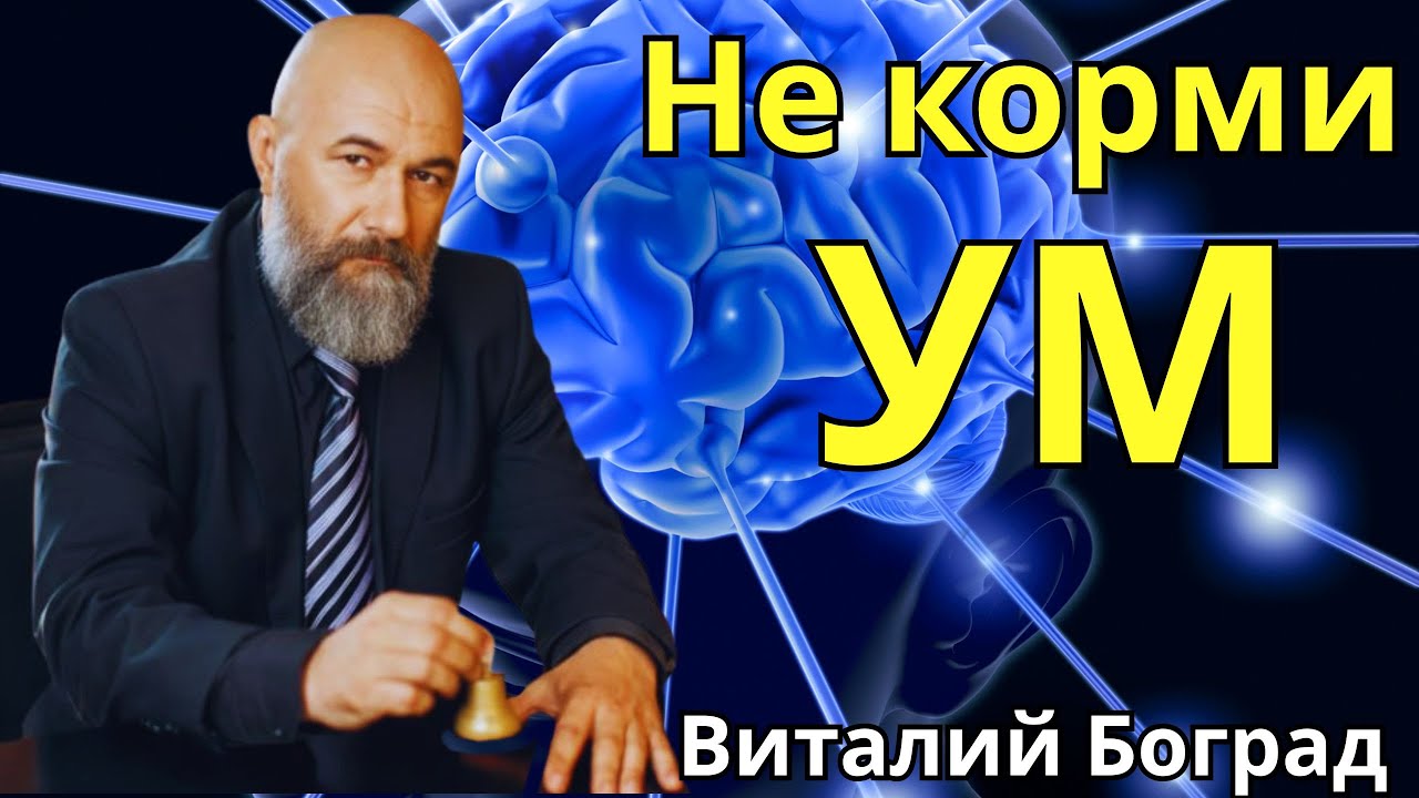 Не корми ум. Виталий Боград 🔹Project Bravo🔹