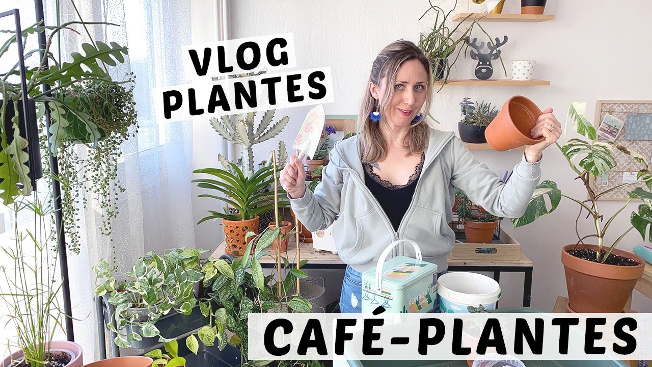 ☕️🌿 CAFÉ-PLANTES : TUTEUR VIVANT, CHOISIR SON CACHE-POT ER REMPOTAGES | VLOG PLANTES D'INTÉRIEUR 🌱