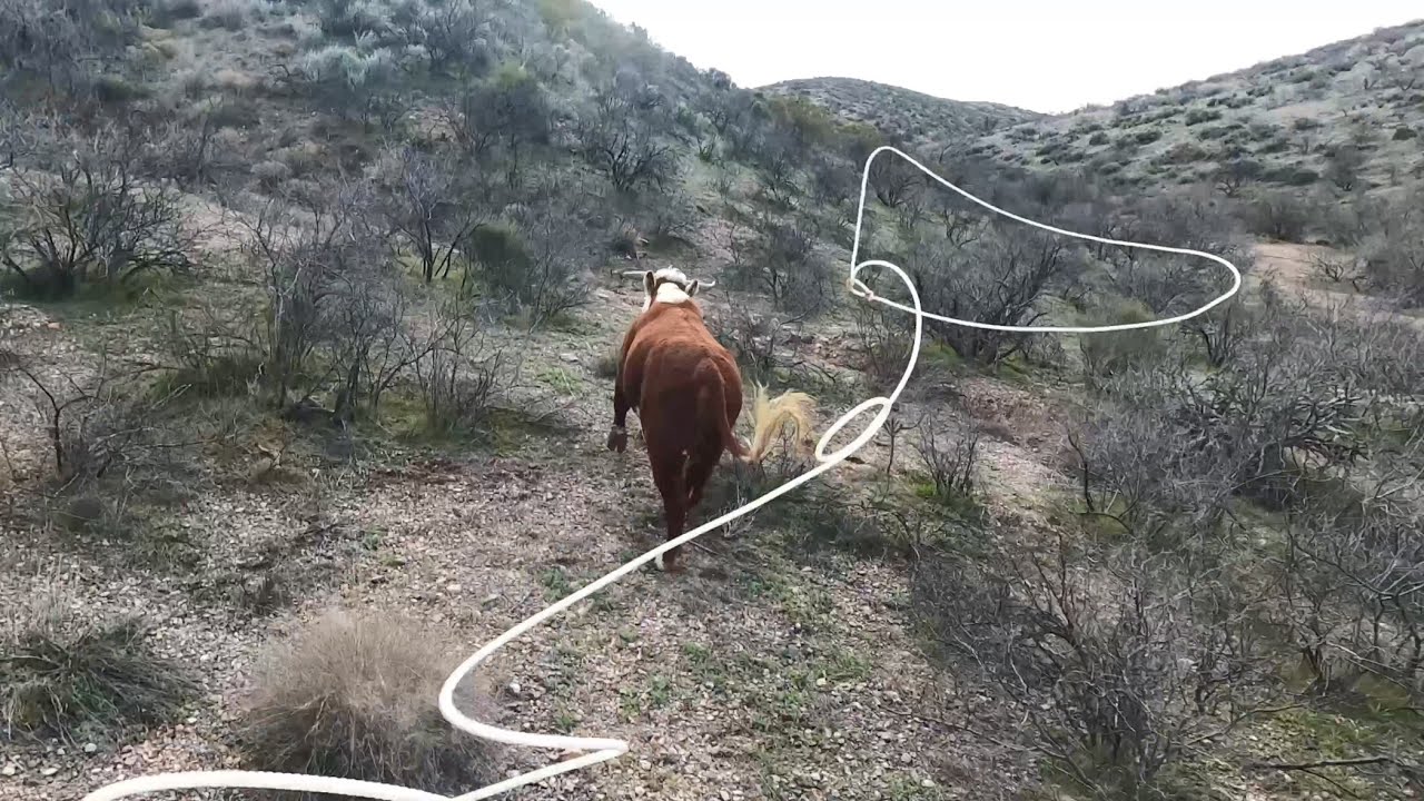 Roping Outside
