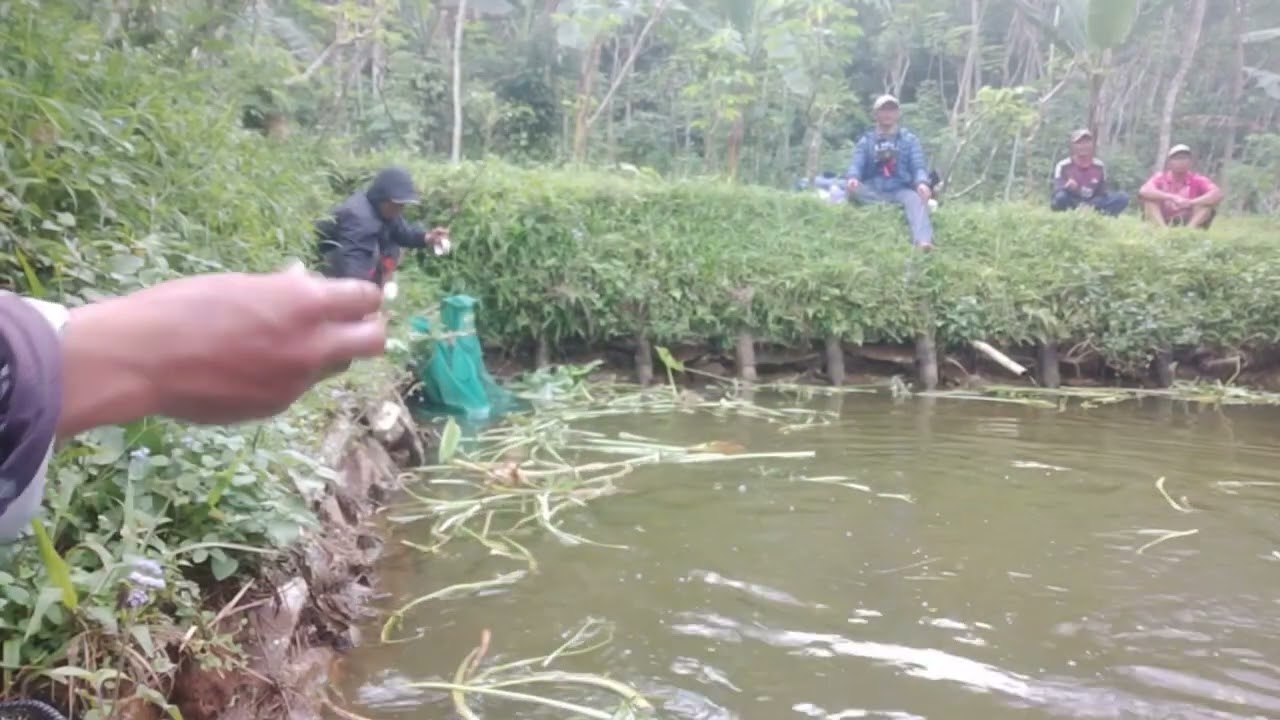 mancing borongan lagi harga 4jt ikan nya besar besar banget