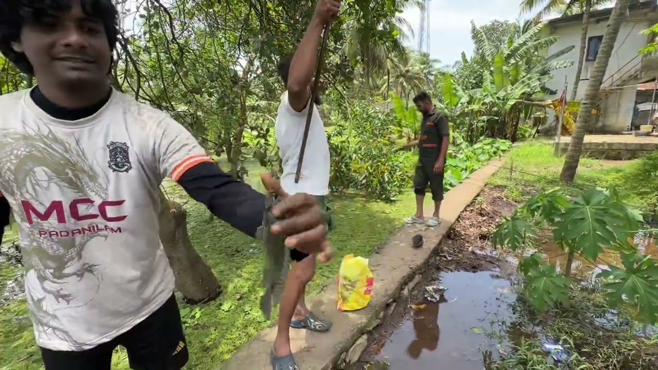 വാഴതോട്ടത്തിൽ ചൂണ്ടയിടാൻ പോയപ്പോൾ മൂർഖൻ 🐍| kerala village snakehead fishing|hook fishing techniques 