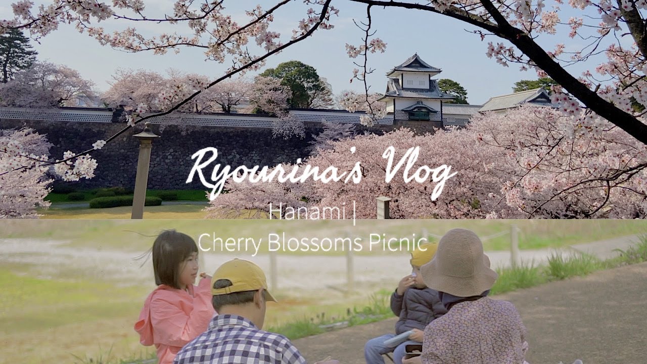Hanami | Picnic Under The Cherry Blossoms