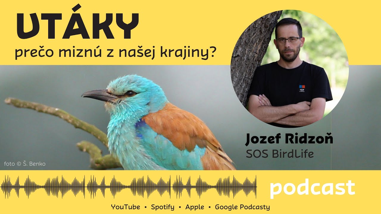 Vtáky - prečo miznú z našej krajiny?