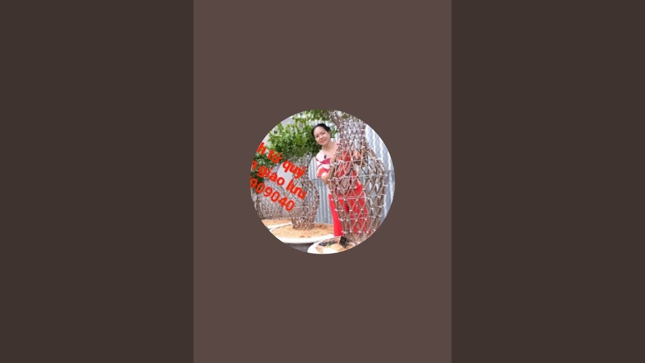 mai vàng giảo thủ đức. bé hai 0763168638