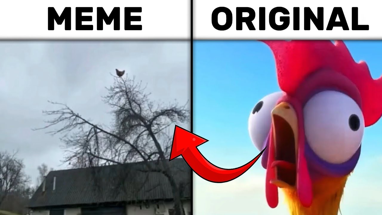 Screaming Chicken On Tree Meme vs Original Sound
