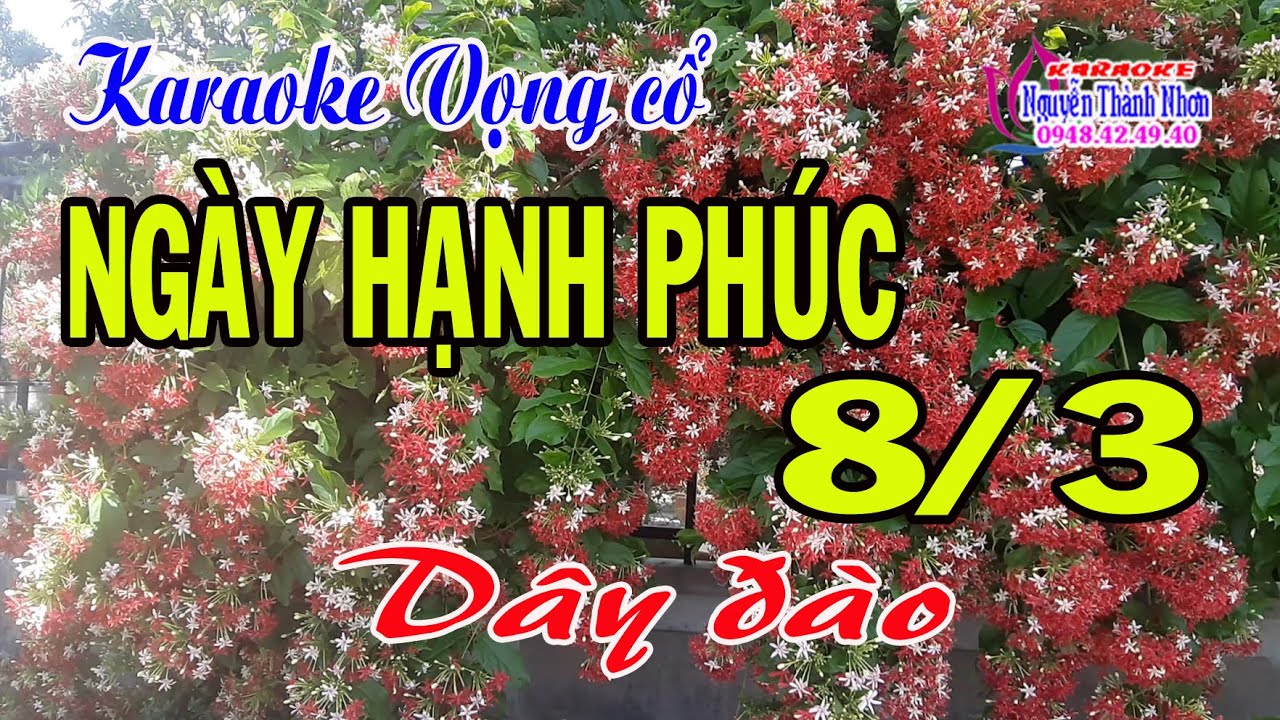Karaoke vọng cổ NGÀY HẠNH PHÚC 8/3 - DÂY ĐÀO [T/g Ngọc Phúc]