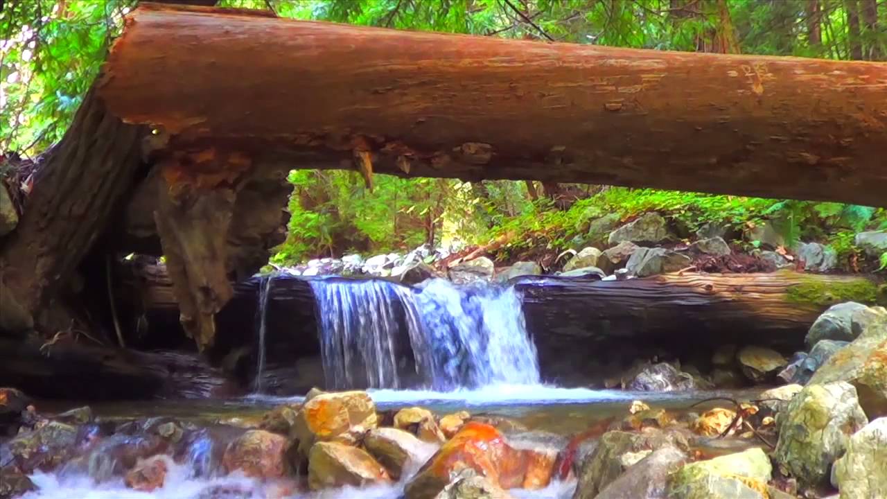 VERY POWERFUL! ★ Relaxing Nature Sounds ★ Healing Deep Sleep Isochronic Binaural Beat