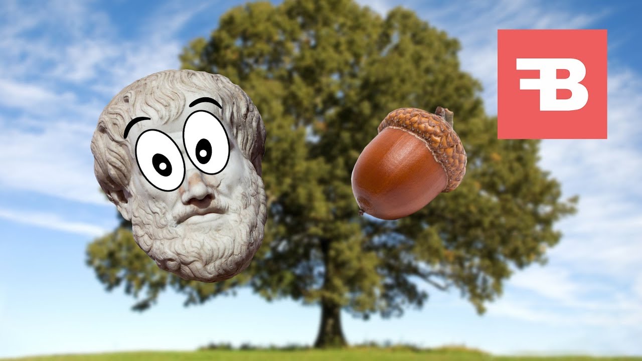 Aristoteles: Vorm, Materie en Doel