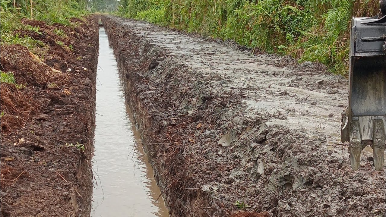 Tadinya hutan belantara di sulap jadi akses jalan ll@unitchanell6748