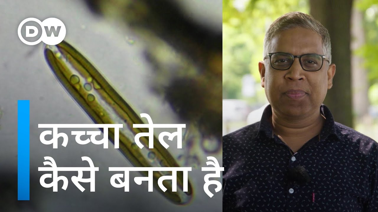 जमीन में कैसे तैयार होता है काला सोना [Where does crude oil come from?]