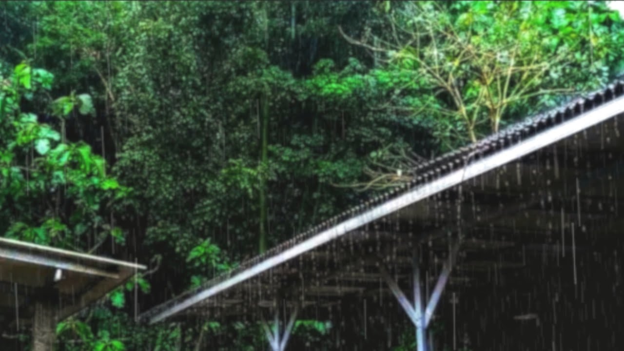 🌧️Relaxing Rain Sounds for Sleep | Gentle Rain for Deep Sleep, Relaxation, and Stress Relief 🌧️
