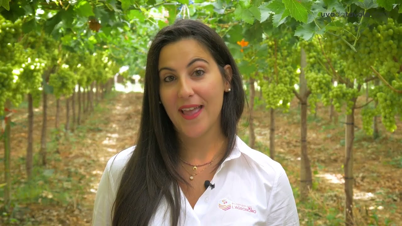 In campo con l'agronomo - 