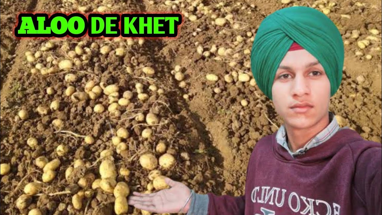 Shehar Ton Door 🌾 Aloo De Khetan Ch Sukoon | Karan Suhaan Vlogs 