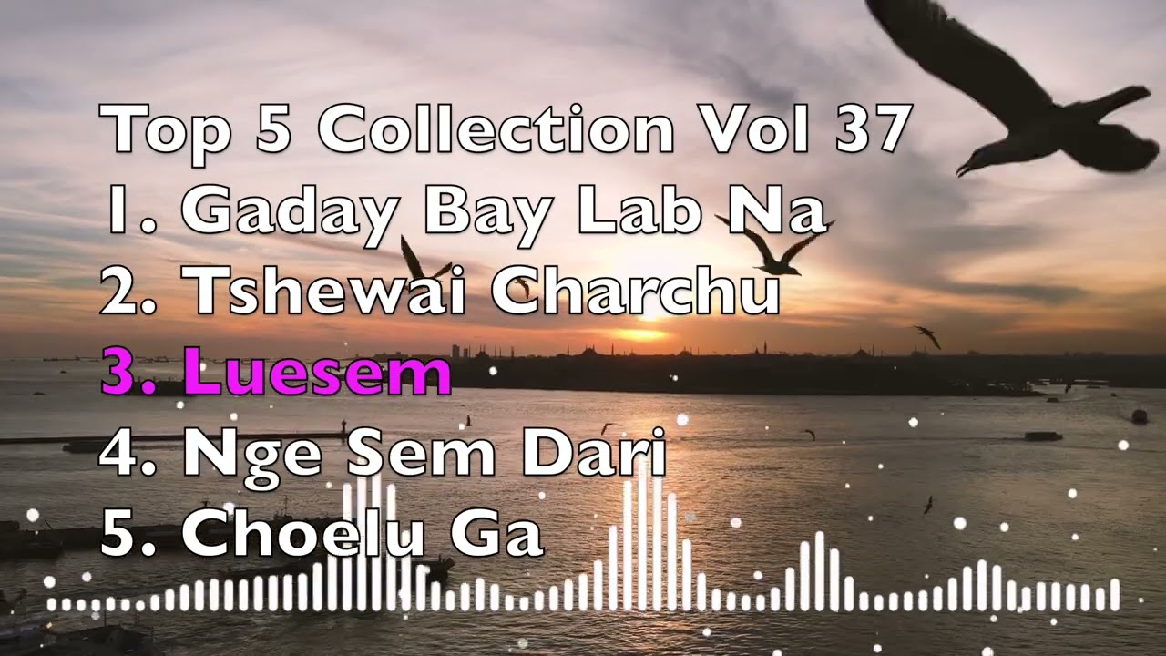 Top 5 Collection Vol 37 (Latest Bhutanese Song Updates, 2024)