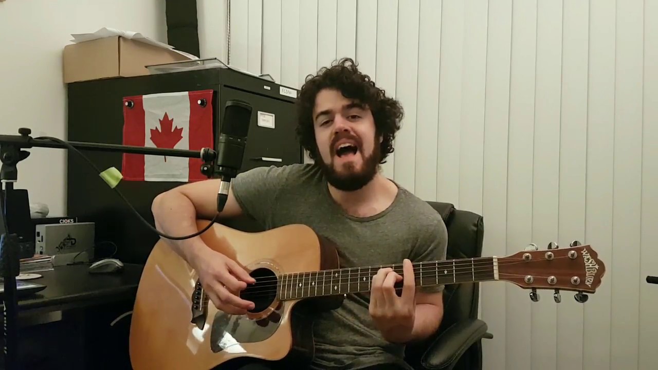 Party Police - Alvvays [cover]