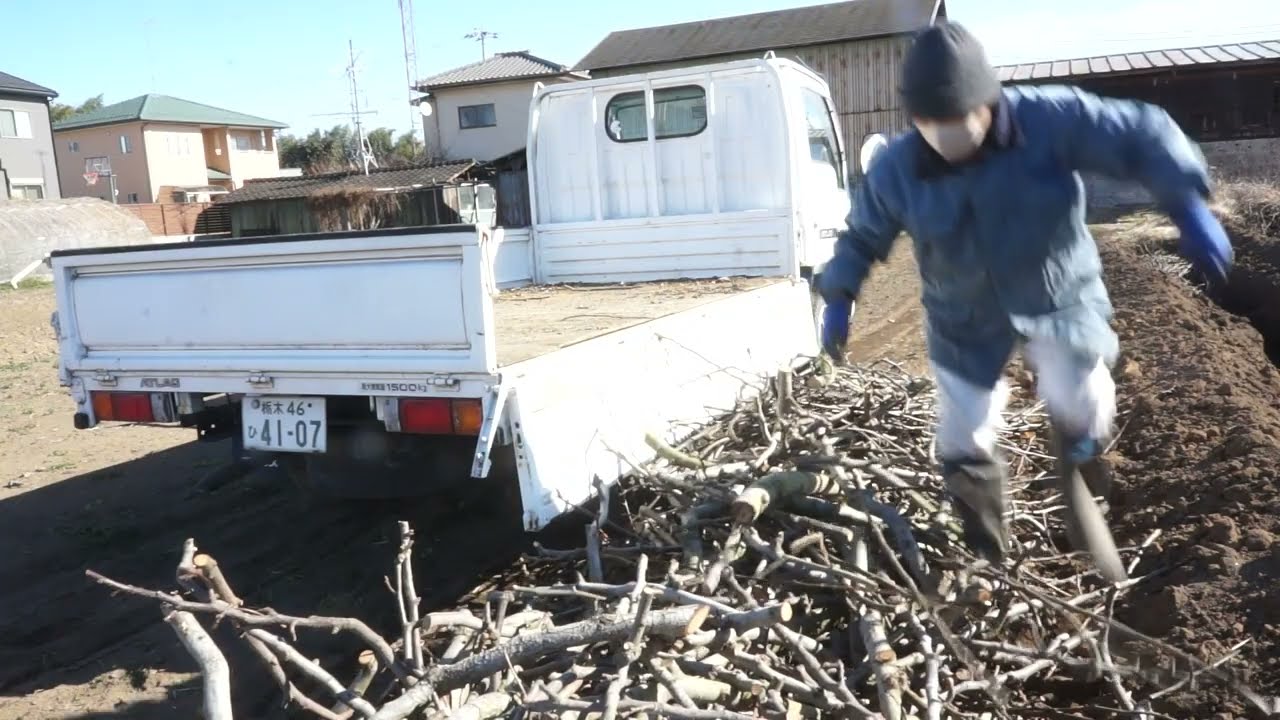 梨剪定枝回収　4車目　1月21日