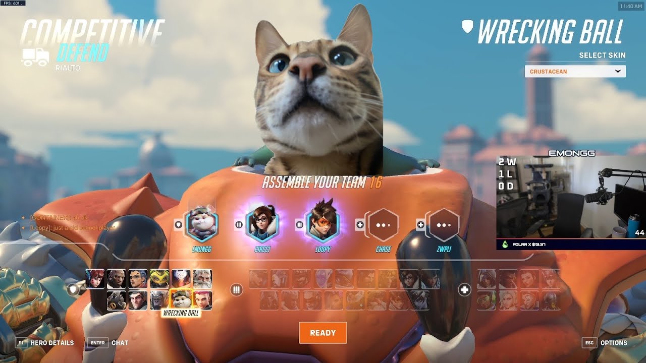 My cat is a massive troll | Overwatch 2