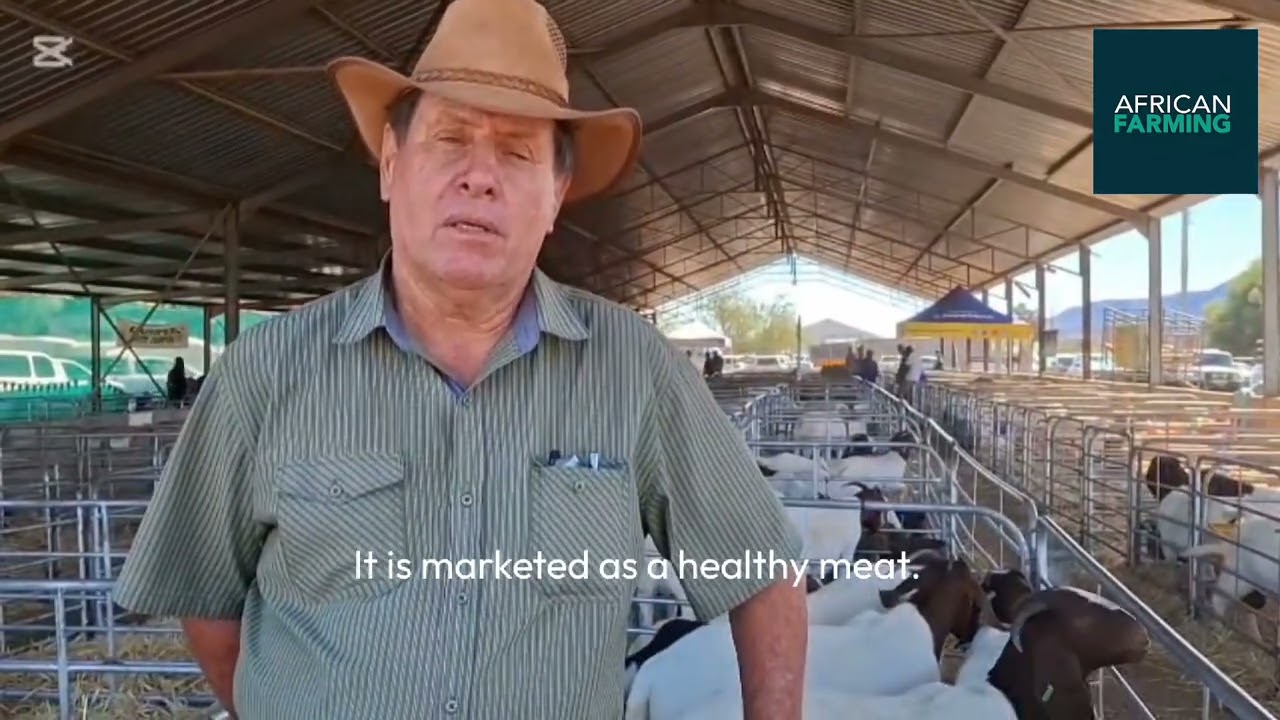 Joubert van der Merwe discusses the goat meat economy.