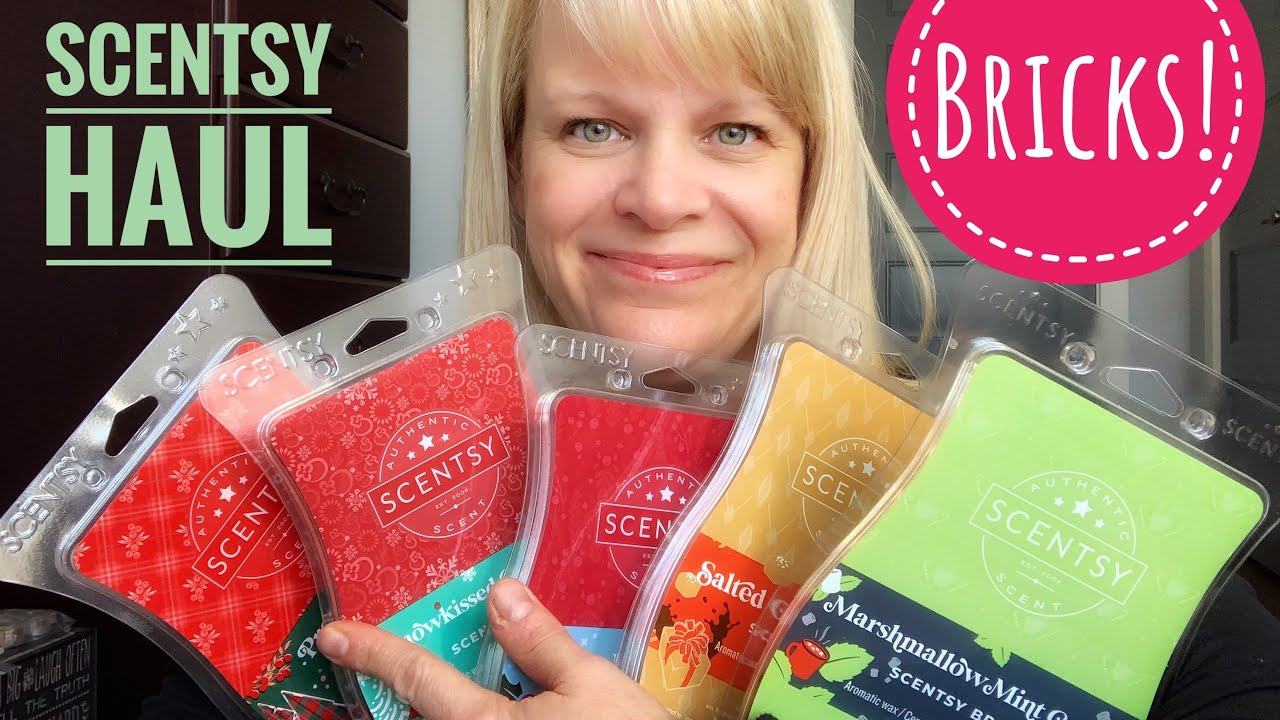 Scentsy Haul - Includes Holiday BRICKS