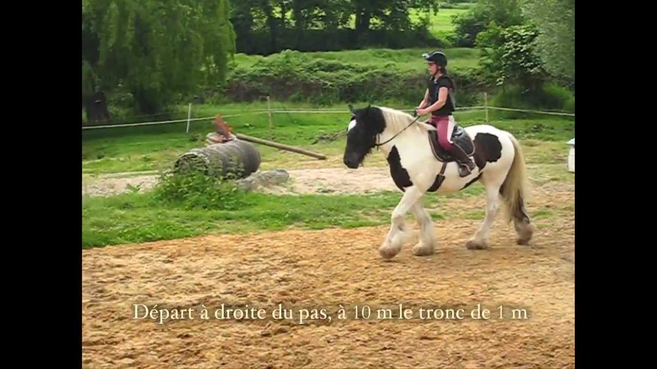 Thorgal et moi, examen pratique galop 6 pleine nature