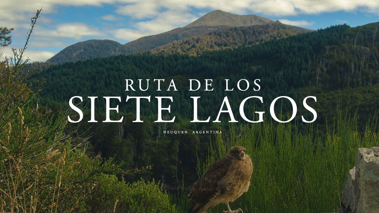 Manejando por la Ruta de los 7 Lagos | Miradores y paisajes increíbles