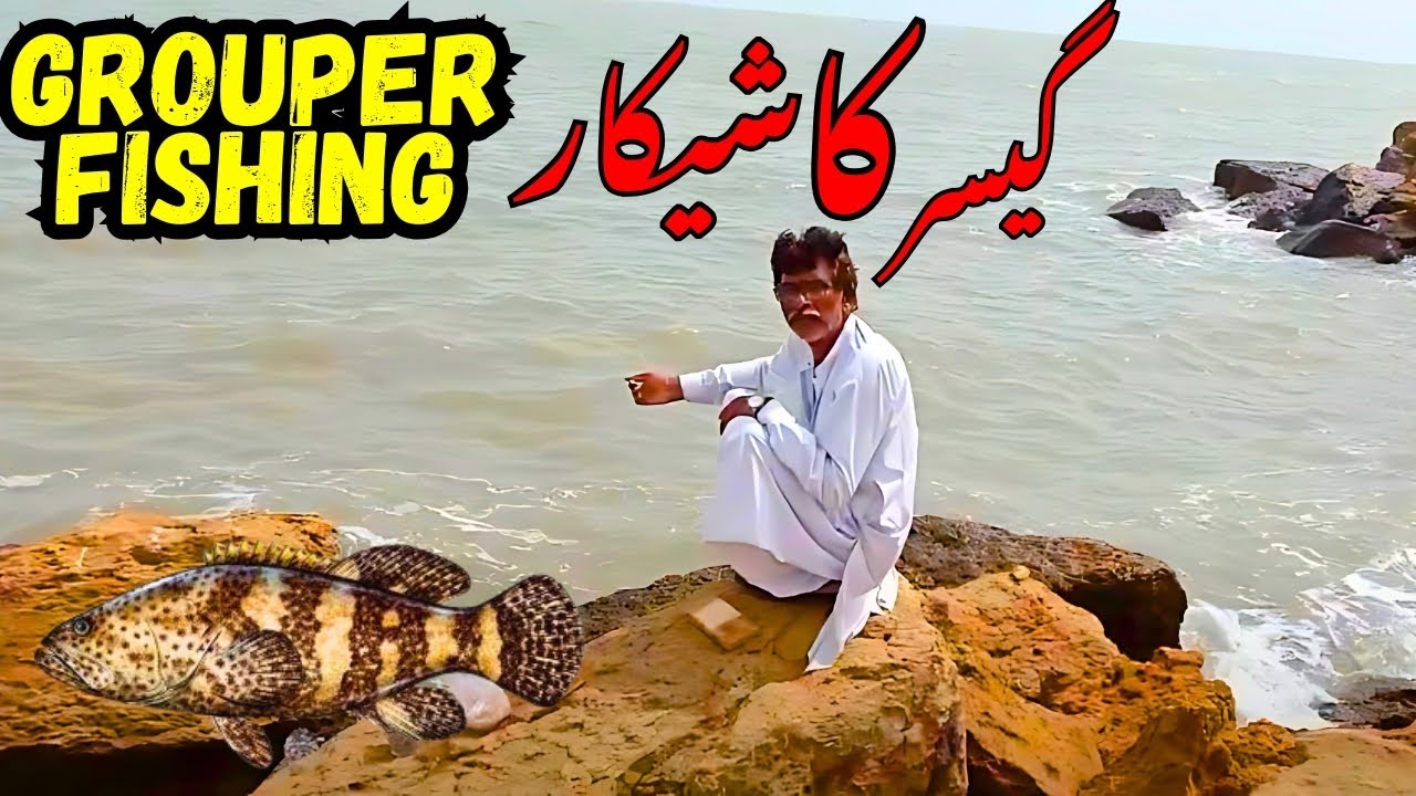 do darya (Gissar Ka Shikar) Grouper Fish - Karachi fishing point - fishing video | new fishing 2025