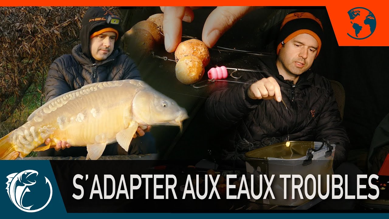 Pêche de la carpe - Carpfishing - S'adapter aux eaux troubles
