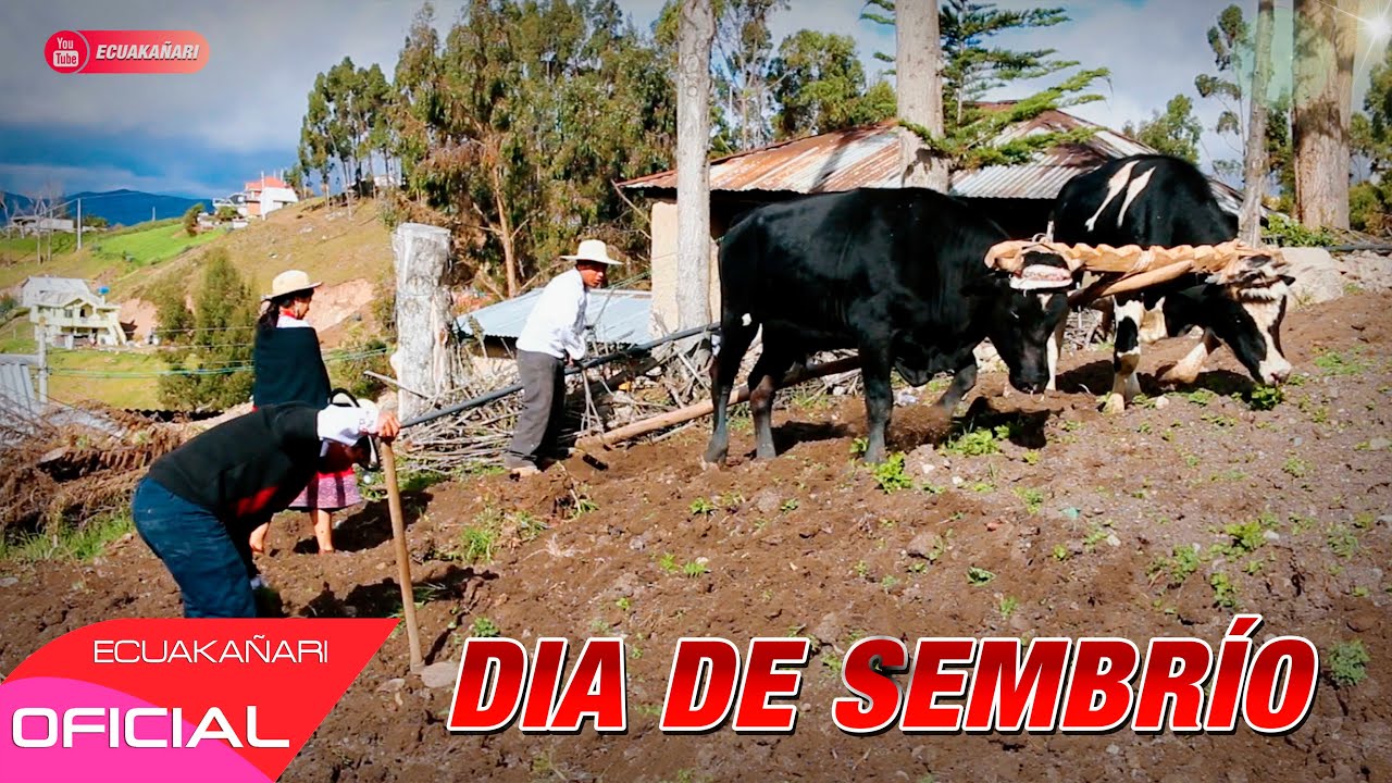 UN DIA DE SEMBRIO ► (ECUAKAÑARI)✓