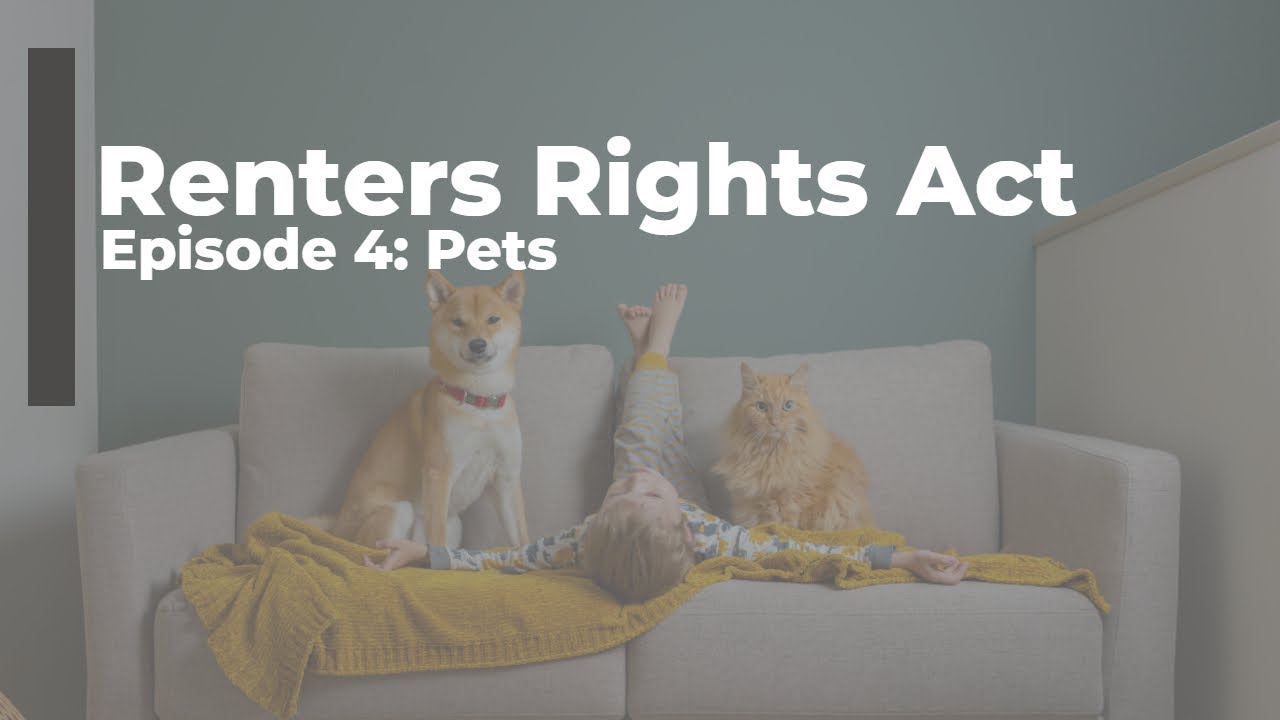 Renters Rights Act - Episode 4: Pets