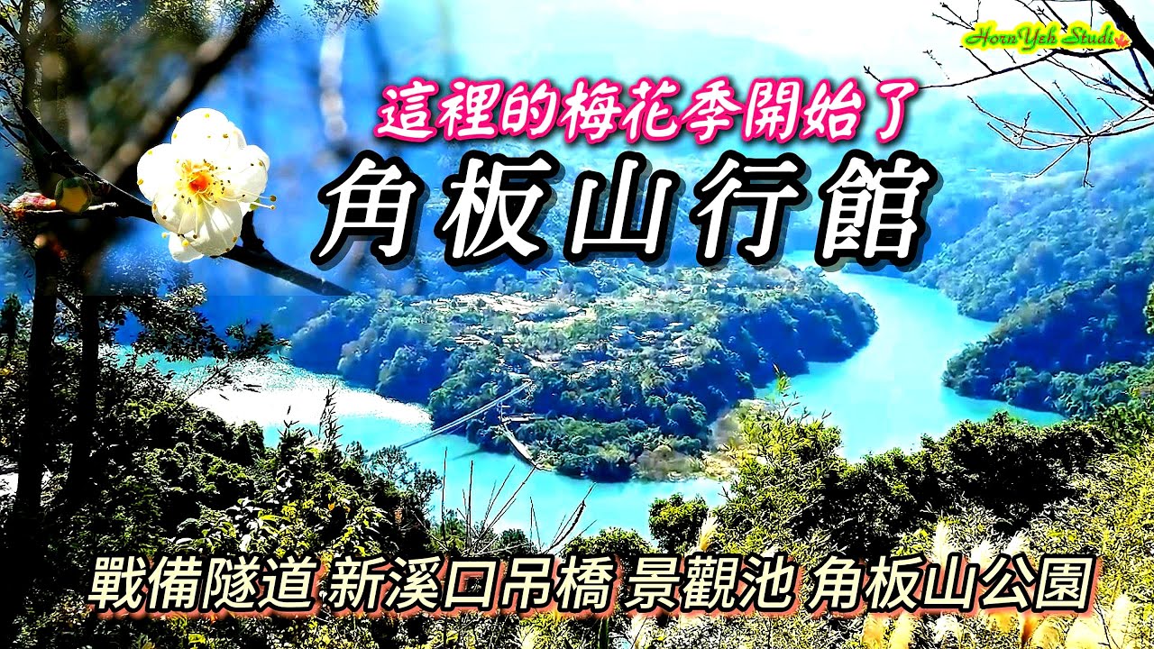 角板山梅花季開始了 角板山行館梅園佔地2公頃 300株梅花老樹 戰備隧道 新溪口吊橋 景觀池 公園 Jiaobanshan Residence 