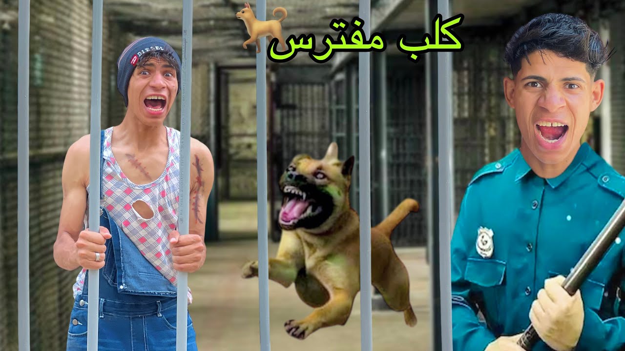 لما تحبس اخوك الصغير في السجن مع كلب مفترس 🐕😂| علاء حسين
